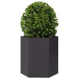 Vidaxx jardinière hexagone 46x40x45 cm acier noir