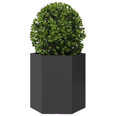 Vidaxx jardinière hexagone 46x40x45 cm acier noir