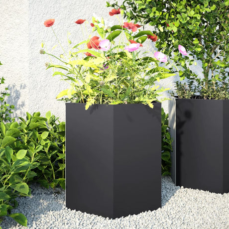 Vidaxx jardinière hexagone 46x40x45 cm acier noir