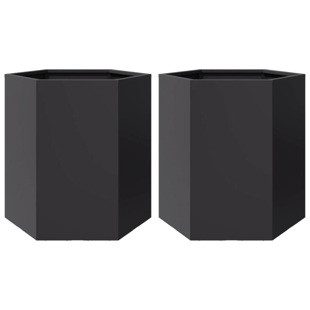 Vidaxx jardinières 2 pcs hexagone 46x40x45 cm acier noir