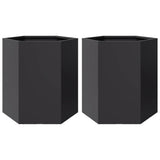 Vidaxx jardinières 2 pcs hexagone 46x40x45 cm acier noir