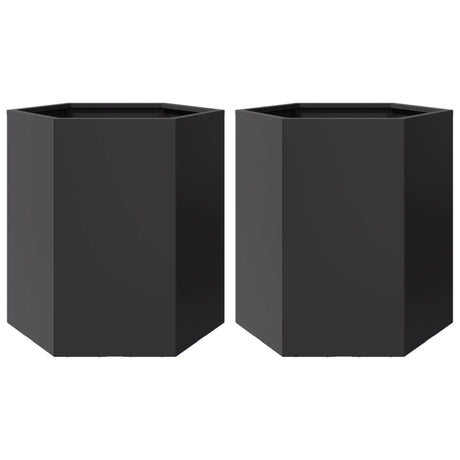 Vidaxx jardinières 2 pcs hexagone 46x40x45 cm acier noir