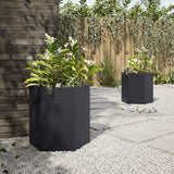 Vidaxx jardinières 2 pcs hexagone 46x40x45 cm acier noir