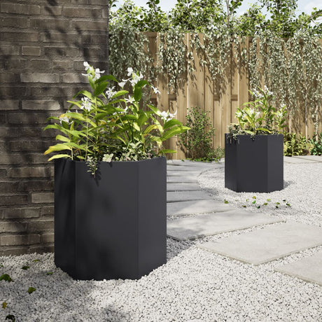Vidaxx jardinières 2 pcs hexagone 46x40x45 cm acier noir