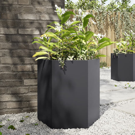Vidaxx jardinières 2 pcs hexagone 46x40x45 cm acier noir