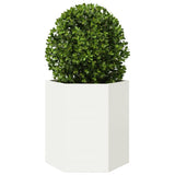 Vidaxx jardinière hexagone 46x40x45 cm acier blanc