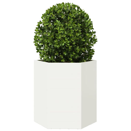 Vidaxx jardinière hexagone 46x40x45 cm acier blanc