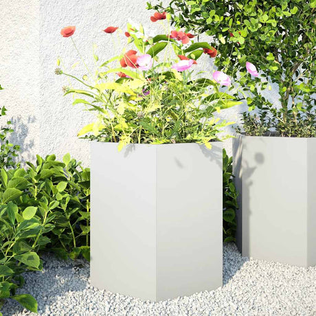 Vidaxx jardinières 2 pcs hexagone 46x40x45 cm acier blanc