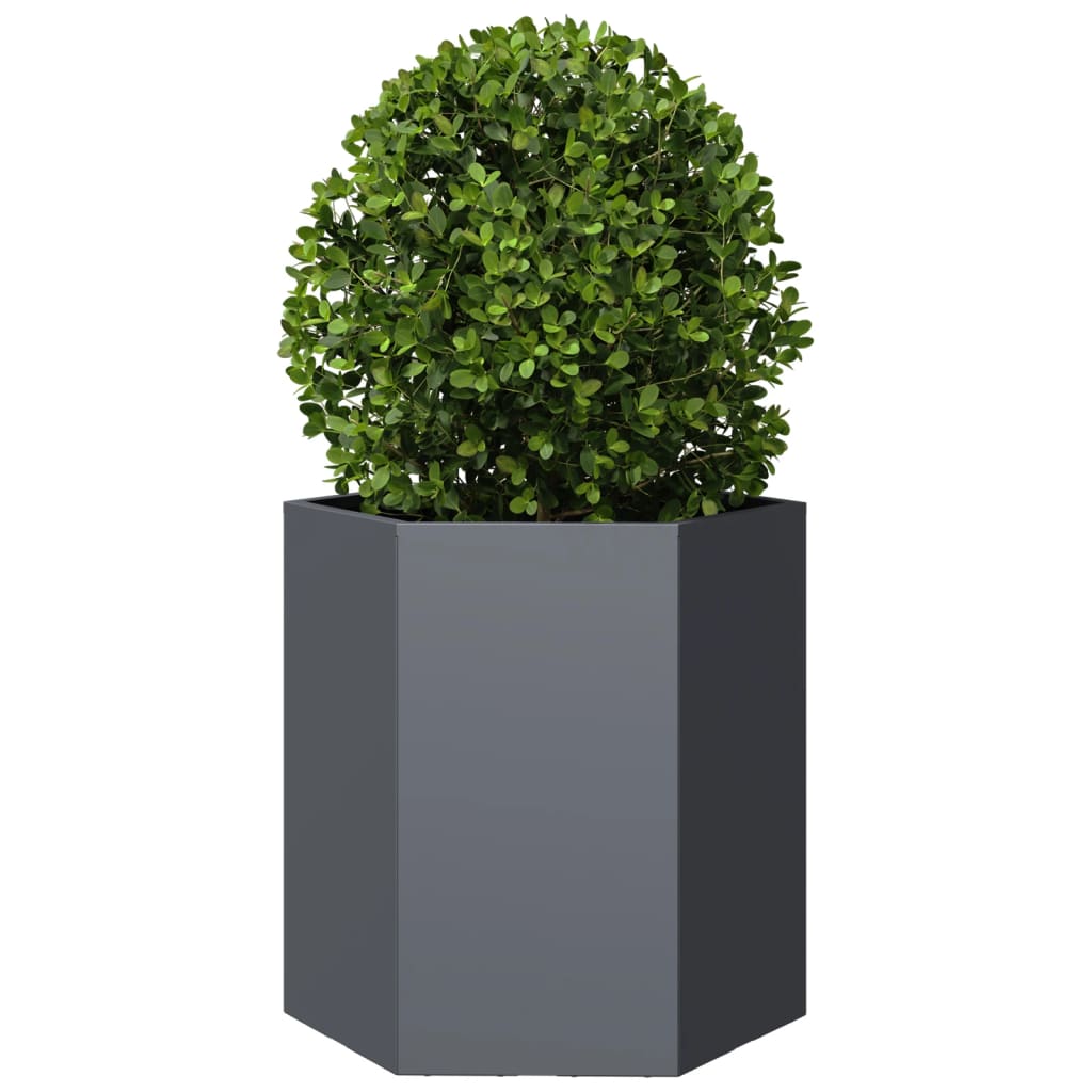 Vidaxx jardinière hexagone 46x40x45 cm acier anthracite