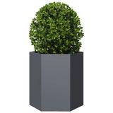 Vidaxx jardinière hexagone 46x40x45 cm acier anthracite