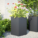 Vidaxx jardinières 2 pcs hexagone 46x40x45 cm acier anthracite
