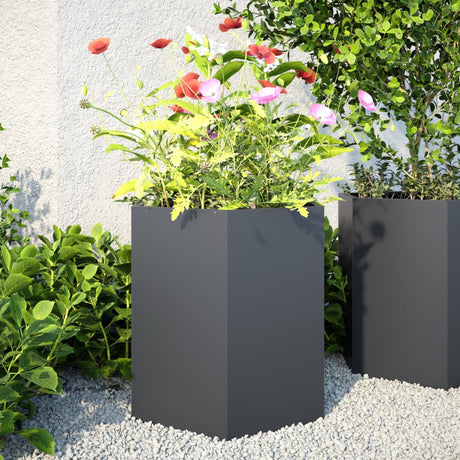 Vidaxx jardinières 2 pcs hexagone 46x40x45 cm acier anthracite