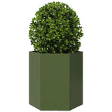 Vidaxx jardinière hexagone 46x40x45 cm acier vert olive