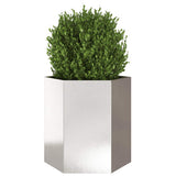 Vidaxx jardinière hexagone 46x40x45 cm acier inoxydable