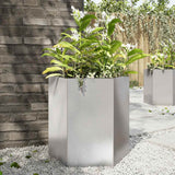 Vidaxx jardinière hexagone 46x40x45 cm acier inoxydable