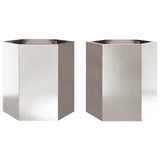Vidaxx jardinières 2 pcs hexagone 46x40x45 cm acier inoxydable