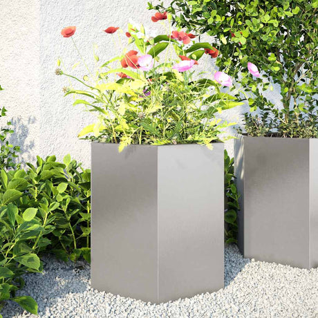 Vidaxx jardinières 2 pcs hexagone 46x40x45 cm acier inoxydable