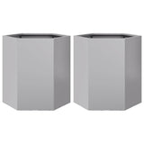 Vidaxx jardinières 2 pcs hexagone 46x40x45 cm acier galvanisé