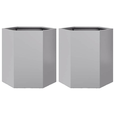 Vidaxx jardinières 2 pcs hexagone 46x40x45 cm acier galvanisé