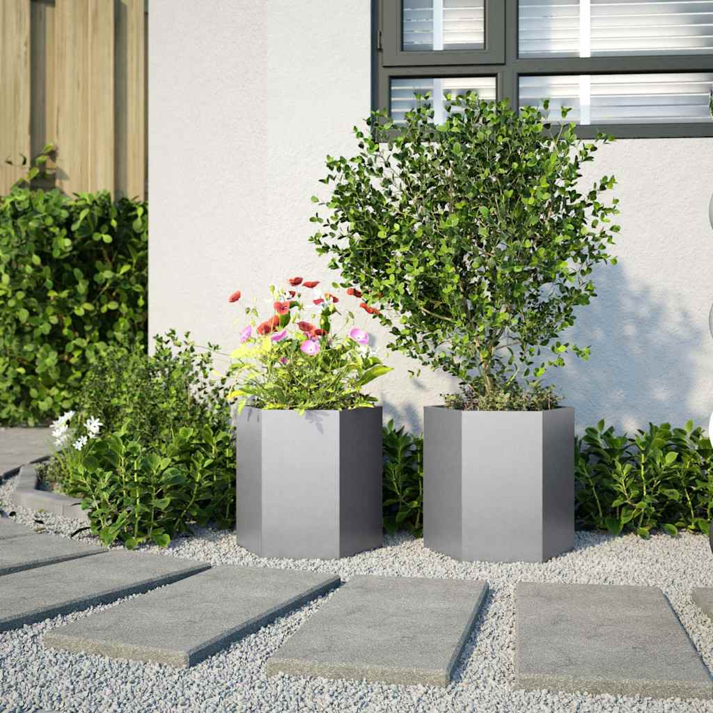 Vidaxx jardinières 2 pcs hexagone 46x40x45 cm acier galvanisé