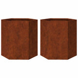 Vidaxx jardinières 2 pcs hexagone 46x40x45 cm acier résistant aux intempéries