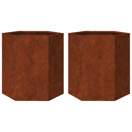 Vidaxx jardinières 2 pcs hexagone 46x40x45 cm acier résistant aux intempéries