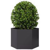 Vidaxx jardinière hexagone 69x60x45 cm acier noir