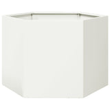 Vidaxx jardinière hexagone 69x60x45 cm acier blanc