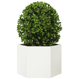 Vidaxx jardinière hexagone 69x60x45 cm acier blanc