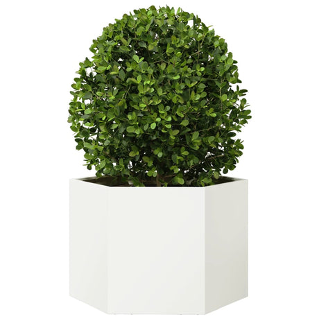 Vidaxx jardinière hexagone 69x60x45 cm acier blanc