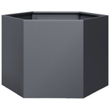 Vidaxx jardinière hexagone 69x60x45 cm acier anthracite