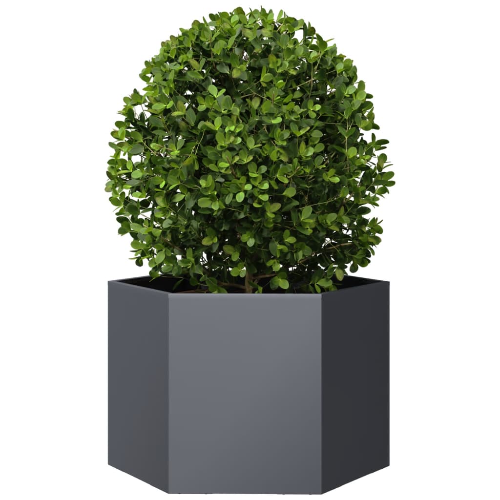 Vidaxx jardinière hexagone 69x60x45 cm acier anthracite