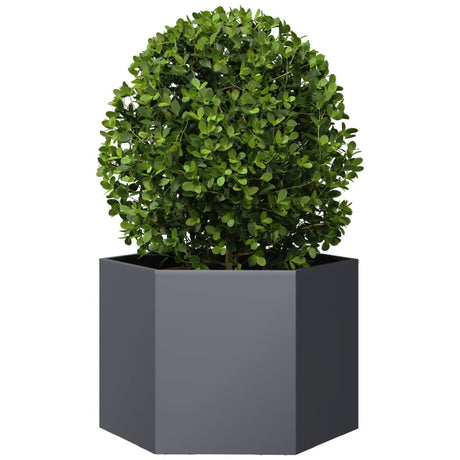 Vidaxx jardinière hexagone 69x60x45 cm acier anthracite