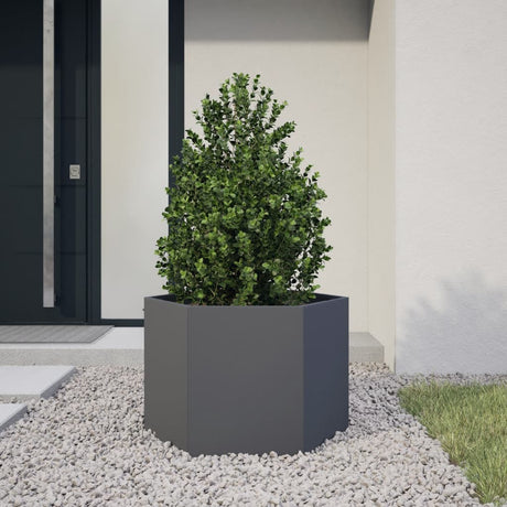 Vidaxx jardinière hexagone 69x60x45 cm acier anthracite