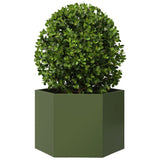 Vidaxx jardinière hexagone 69x60x45 cm acier vert olive