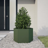 Vidaxx jardinière hexagone 69x60x45 cm acier vert olive
