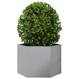VidaXL Jardinière hexagone 69x60x45 cm en acier galvanisé