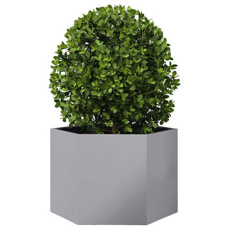 VidaXL Jardinière hexagone 69x60x45 cm en acier galvanisé