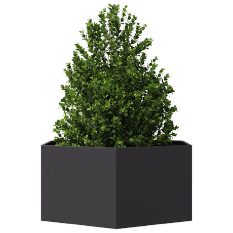 Vidaxx jardinière hexagone 104x90x45 cm acier noir