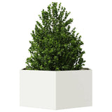 Vidaxx jardinière hexagone 104x90x45 cm acier blanc
