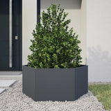 Vidaxx jardinière hexagone 104x90x45 cm acier anthracite