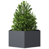 Vidaxx jardinière hexagone 104x90x45 cm acier anthracite