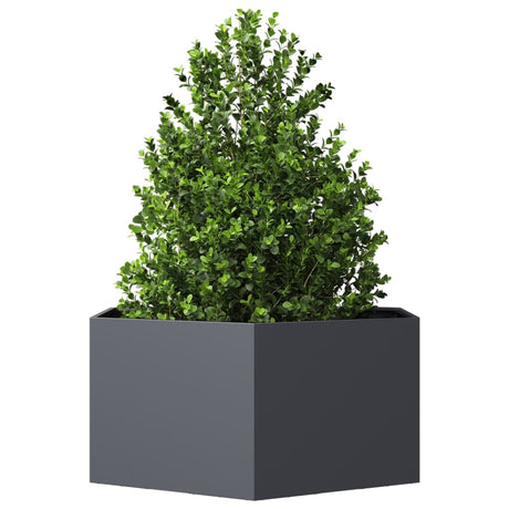 Vidaxx jardinière hexagone 104x90x45 cm acier anthracite