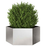 Vidaxx jardinière hexagone 104x90x45 cm acier inoxydable