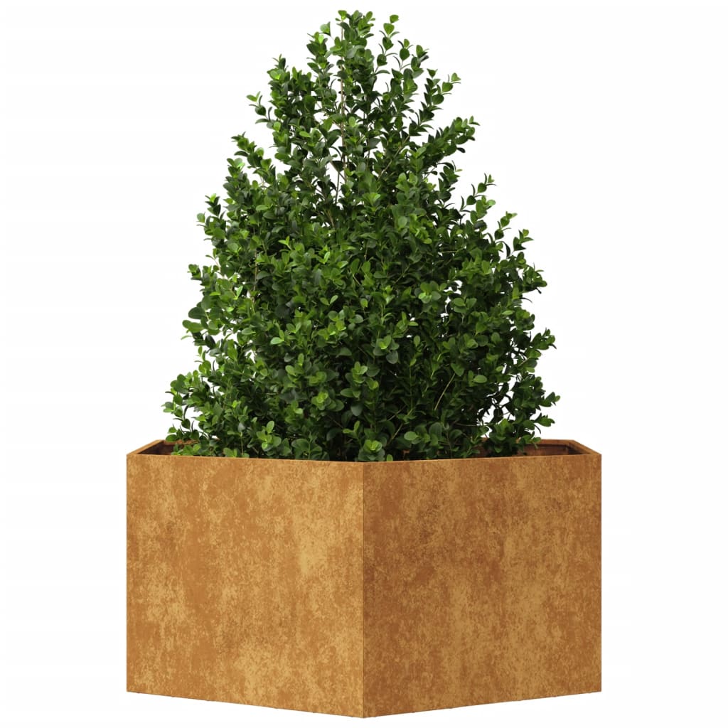 Vidaxx jardinière hexagone 104x90x45 cm acier résistant aux intempéries