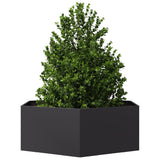 Vidaxx jardinière hexagone 138x120x45 cm acier noir