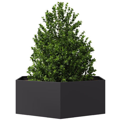 Vidaxx jardinière hexagone 138x120x45 cm acier noir