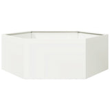 Vidaxx jardinière hexagone 138x120x45 cm acier blanc