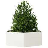 Vidaxx jardinière hexagone 138x120x45 cm acier blanc