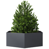 Vidaxx jardinière hexagone 138x120x45 cm acier anthracite